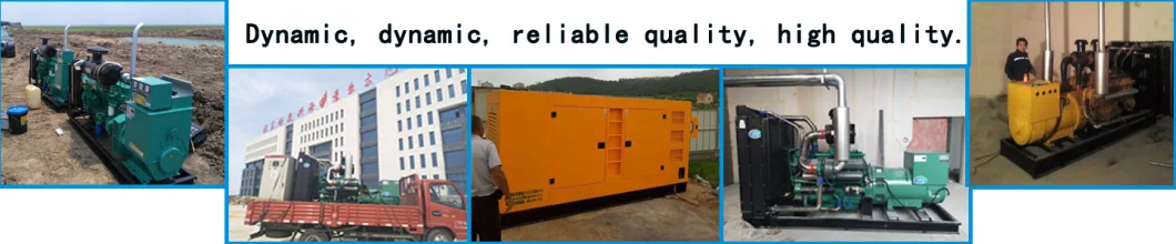 4ZT4.1-G21 Engine 50kw Diesel Generators 4